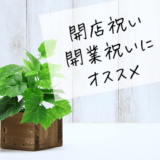 開店祝い・開業祝いにオススメの観葉植物 【11選】