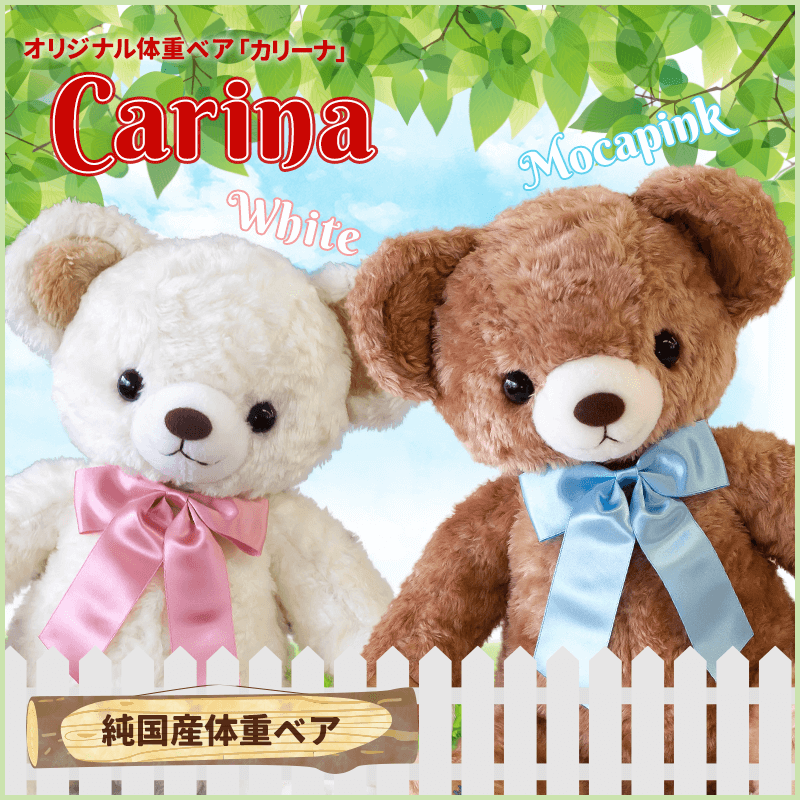 体重ベア　カリーナ［納期：約3週間］