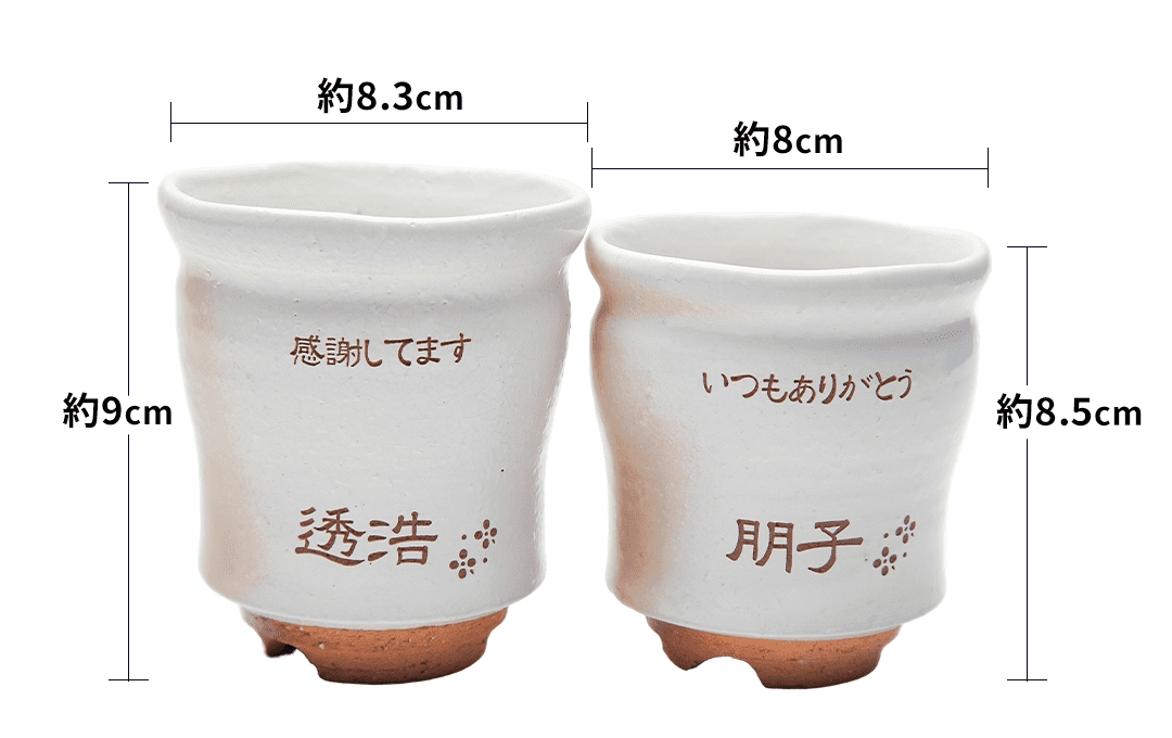 サイズ