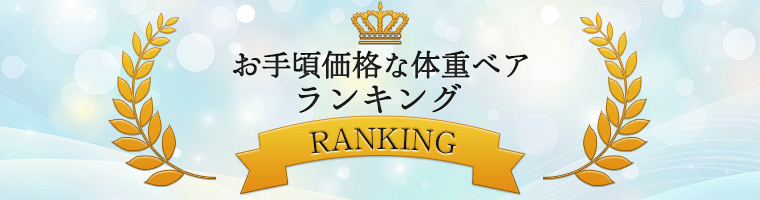 お手頃価格なウェイトベア(体重ベア)ランキング