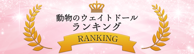 動物のウェイトドールランキング